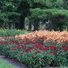 DSC00201