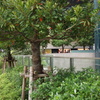 DSC00052