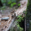 DSC00340