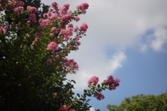 DSC00097