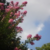 DSC00097