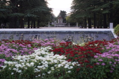 DSC00183