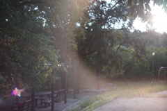 DSC00533