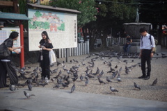 DSC00158