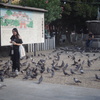 DSC00158