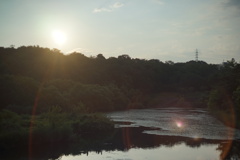 DSC00526