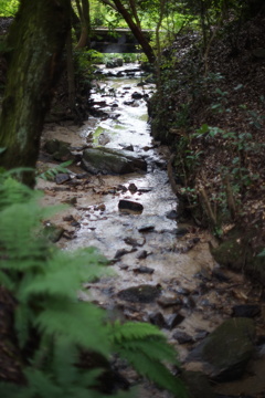 DSC00581