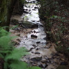 DSC00581