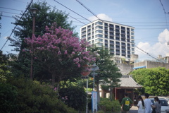 DSC00147