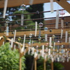 DSC00094