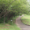 P7200056