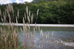 DSC00360