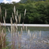 DSC00360
