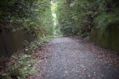 DSC00594