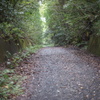 DSC00594