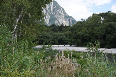 DSC00363