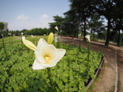 P7090097