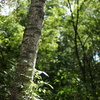 DSC00380
