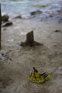 DSC00348