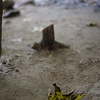 DSC00348