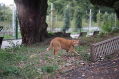 DSC00205