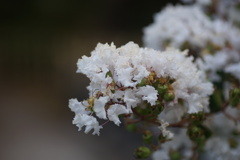 DSC00193