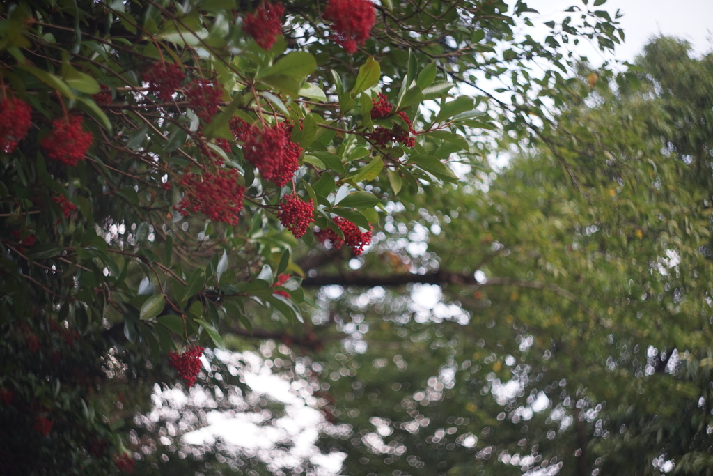 DSC00542