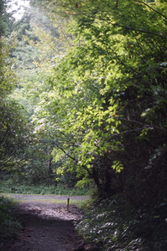 DSC00611