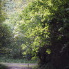 DSC00611