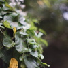 DSC00626