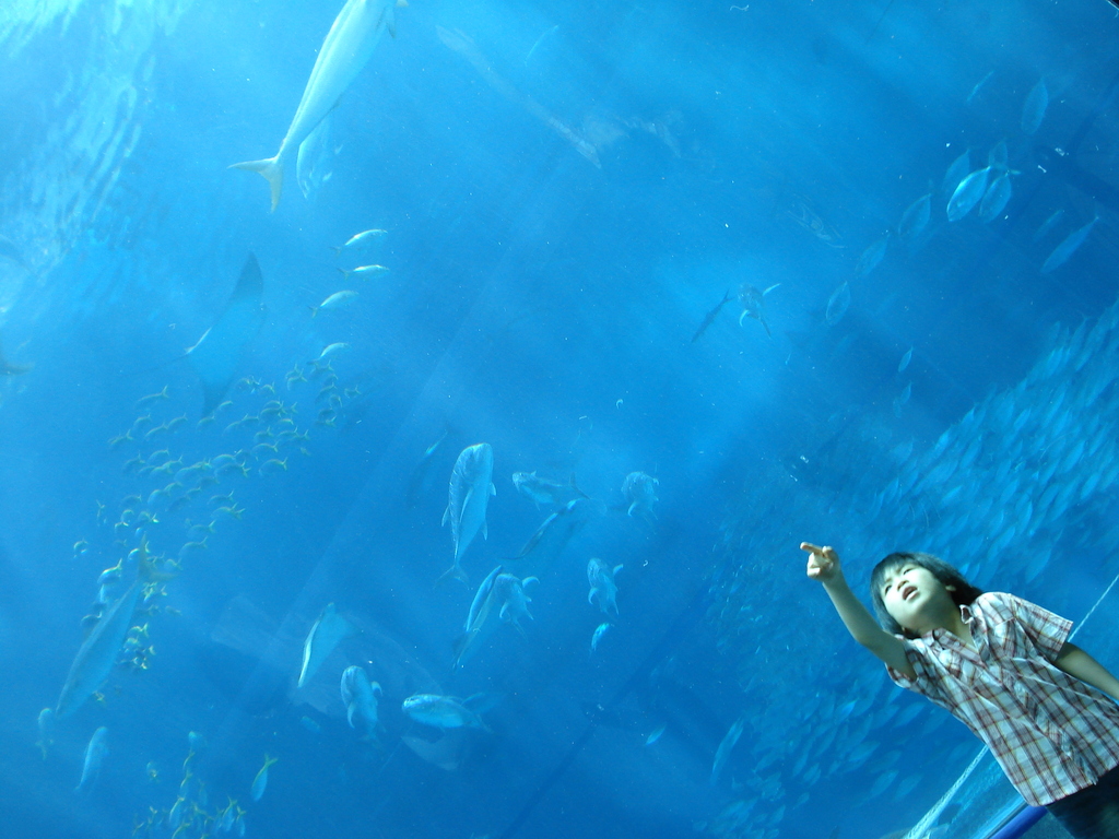 美ら海水族館