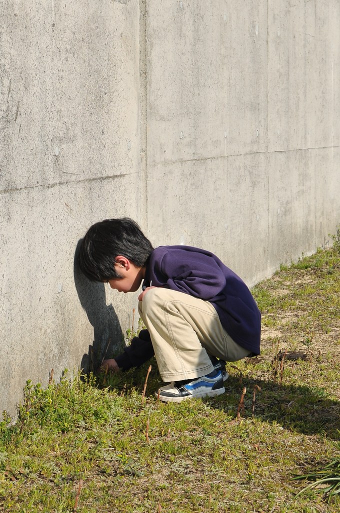 はじめての