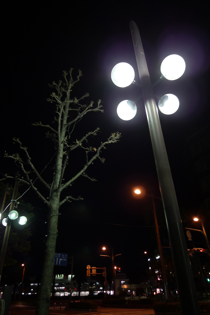 P1000295a6