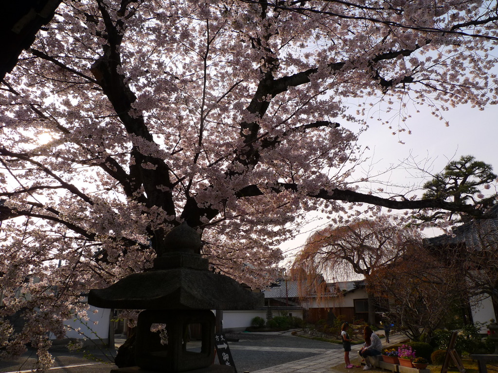 本満寺