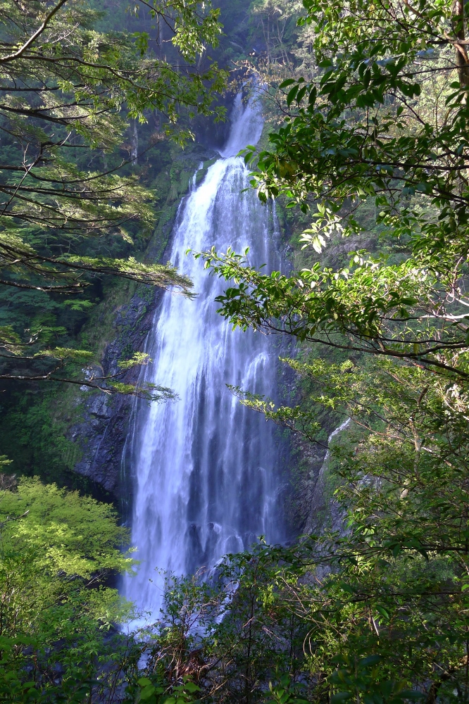 ﾆｺﾆｺ滝