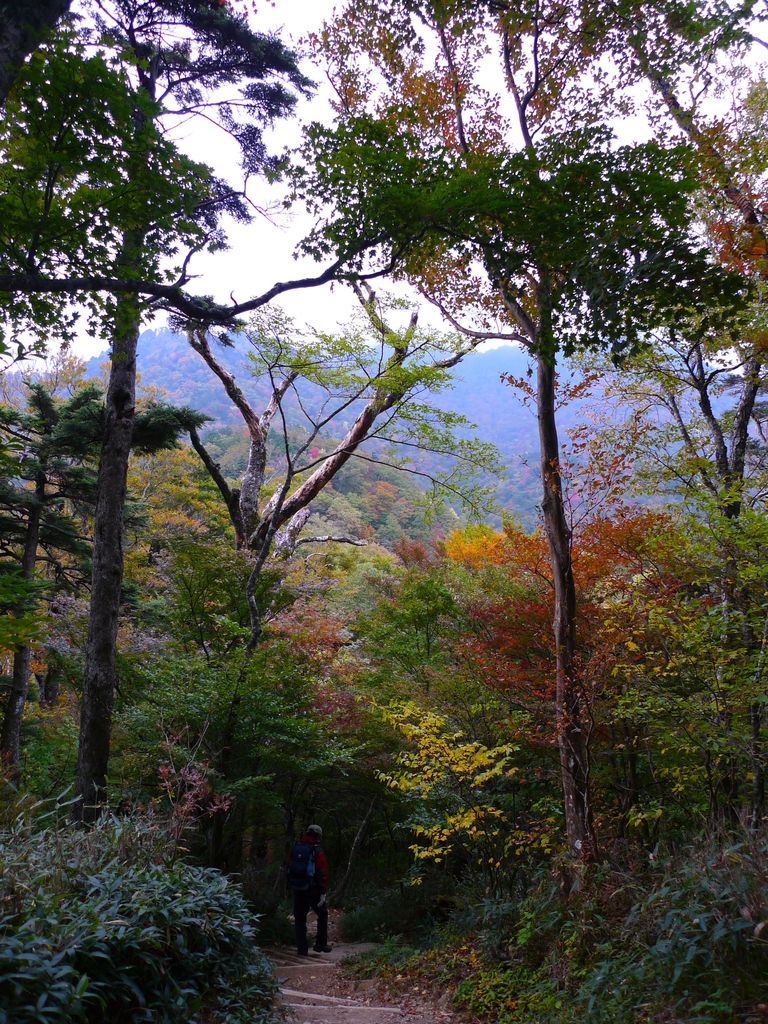 石鎚山