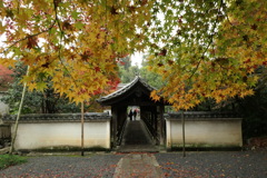 東福寺龍吟庵