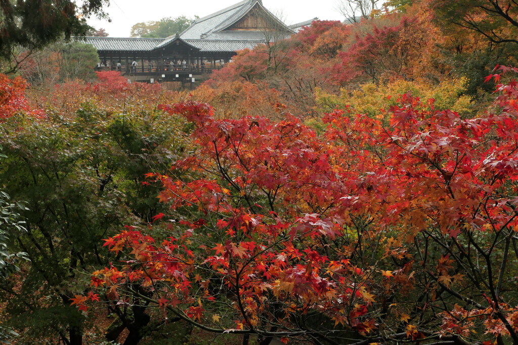 東福寺