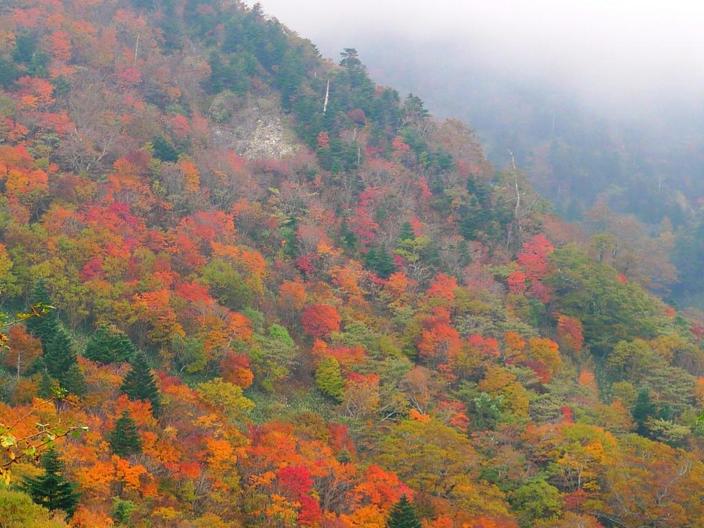 石鎚山