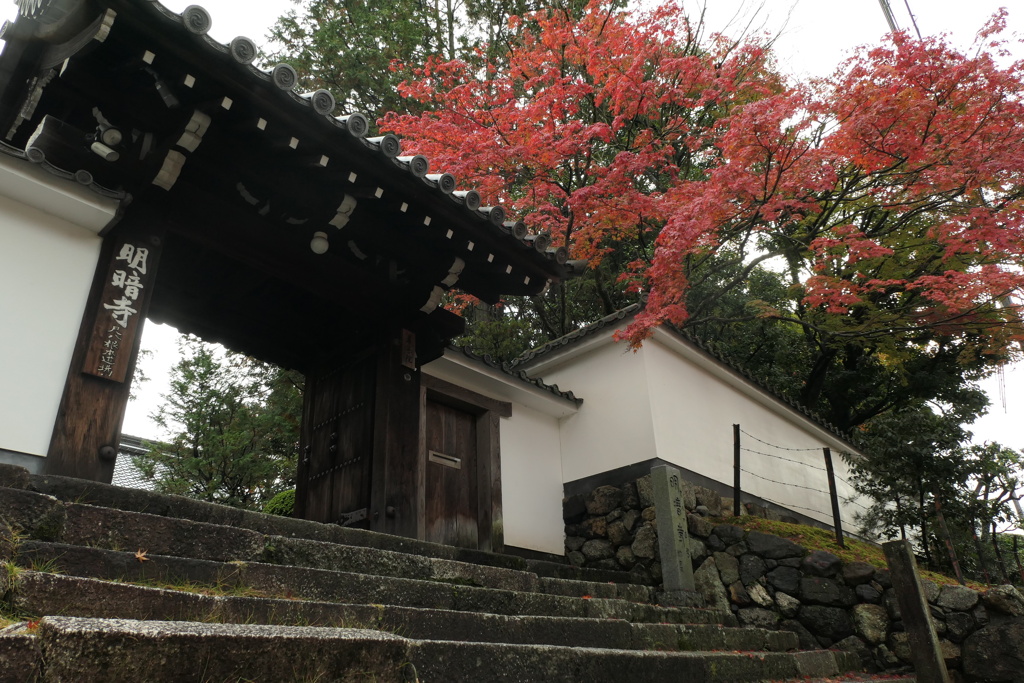 東福寺