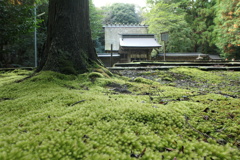 おにゅう峠・若狭彦神社