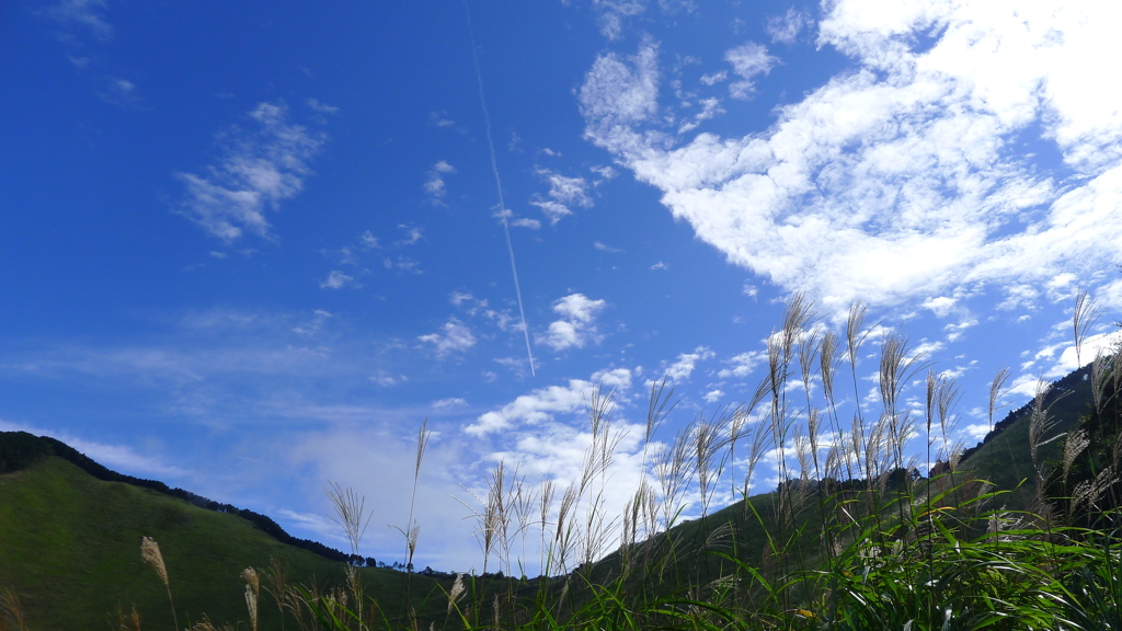 すすき原(奈良県曽爾高原)