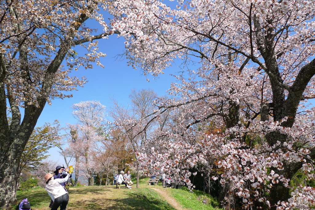 吉野山