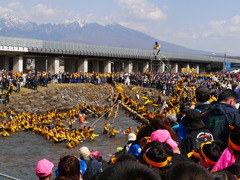 諏訪上社御柱祭