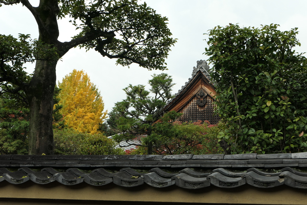 東福寺