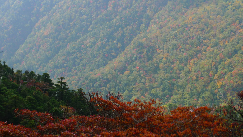 石鎚山