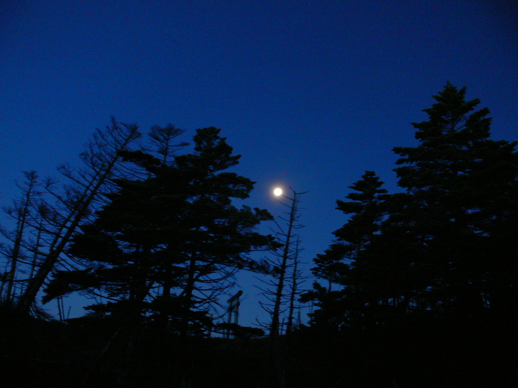 奥駆道・弥山夜明け前