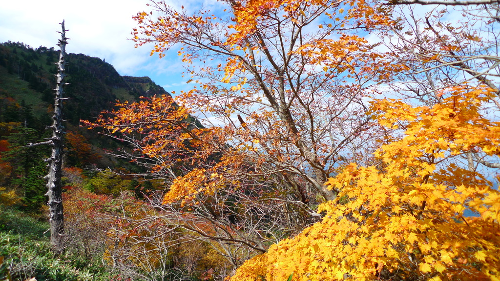 石鎚山