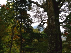 石鎚山