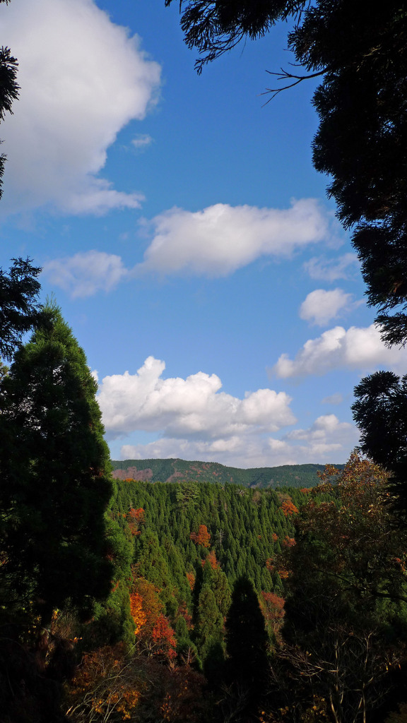 高島トレイル(縱長)